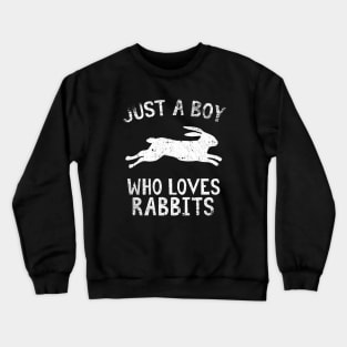 Just A Boy Who Loves Rabbits Crewneck Sweatshirt